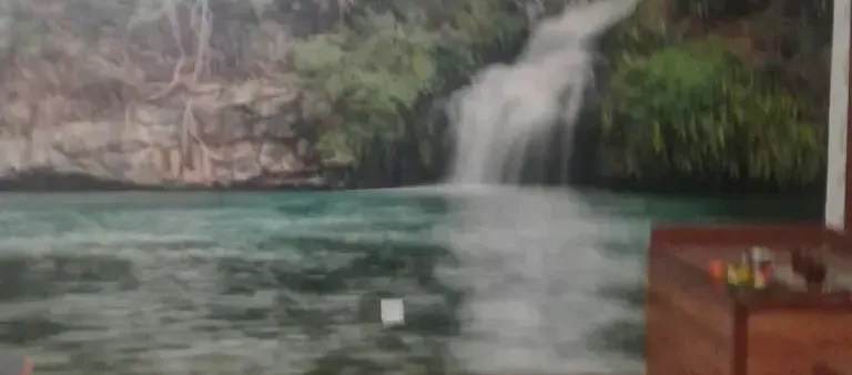 نمونه کار 2